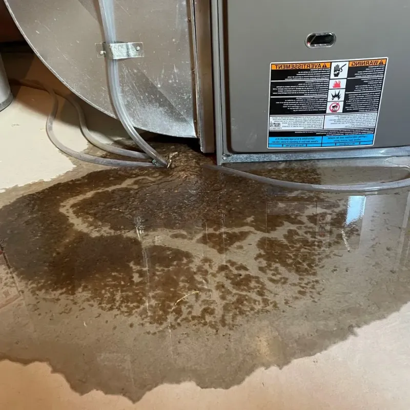 Pipe Burst and Leak Restoration in Lawrenceburg, IN